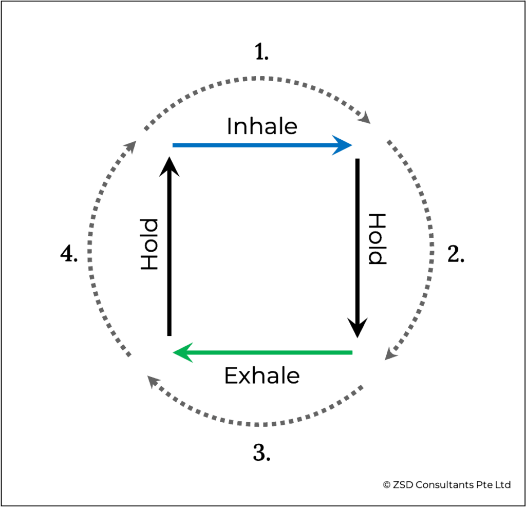 box breathing diagram